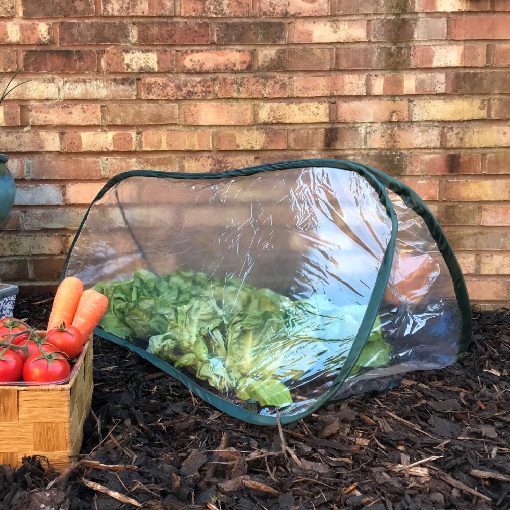 GardenSkill Pop-Up Polytunnel Cloche - Greenhouse Grow House and Tomato Cover for Fruit Veg Plants (1.5m x 0.6m x 0.6m high, Pack 3)