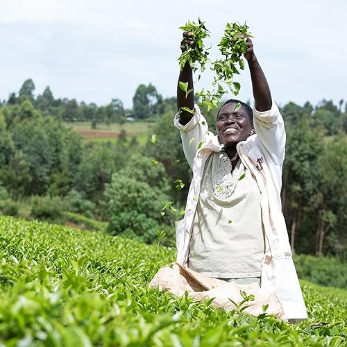 Miniatura 9 de PG Tips Bolsas de té originales de una taza (paquete de 1, total 1100 bolsas de té)