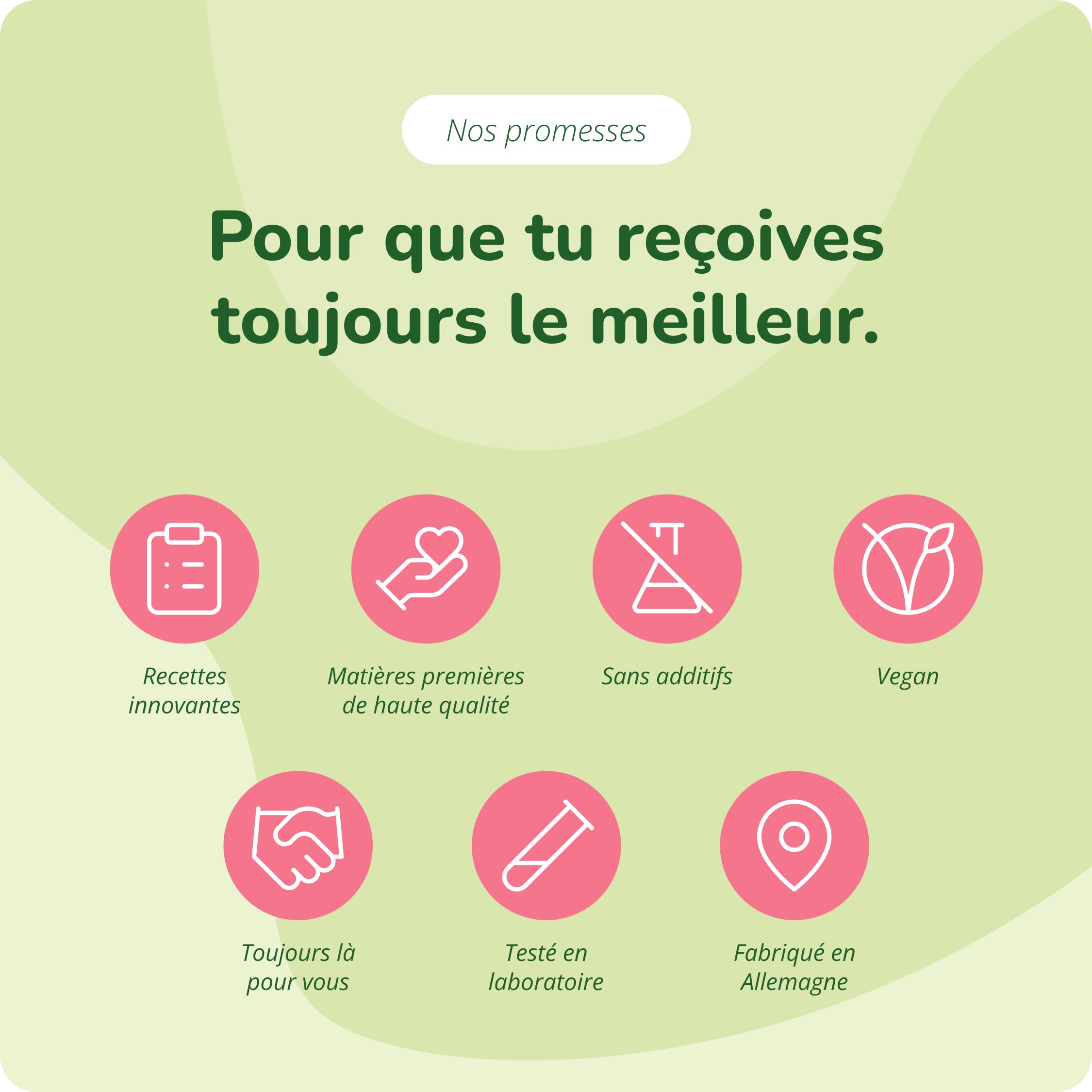Complexe Champignons 2000 mg | UNIQUE : Extraits Puissants | Hericium, Reishi, Cordyceps CS-4, Shiitake, Chaga, Agaricus | Système Immunitaire | 120 Gélules | Vegan | Vegavero®