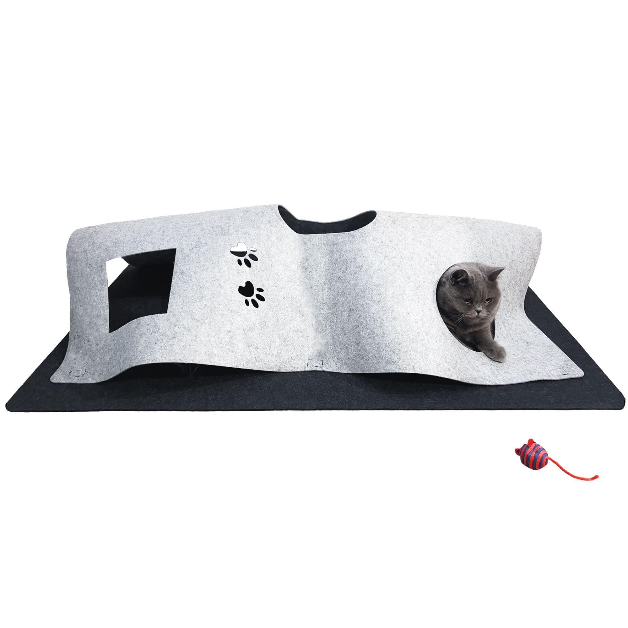 Tunnel pour chat avec tapis de jeu pour égayer les après-midi du chiot