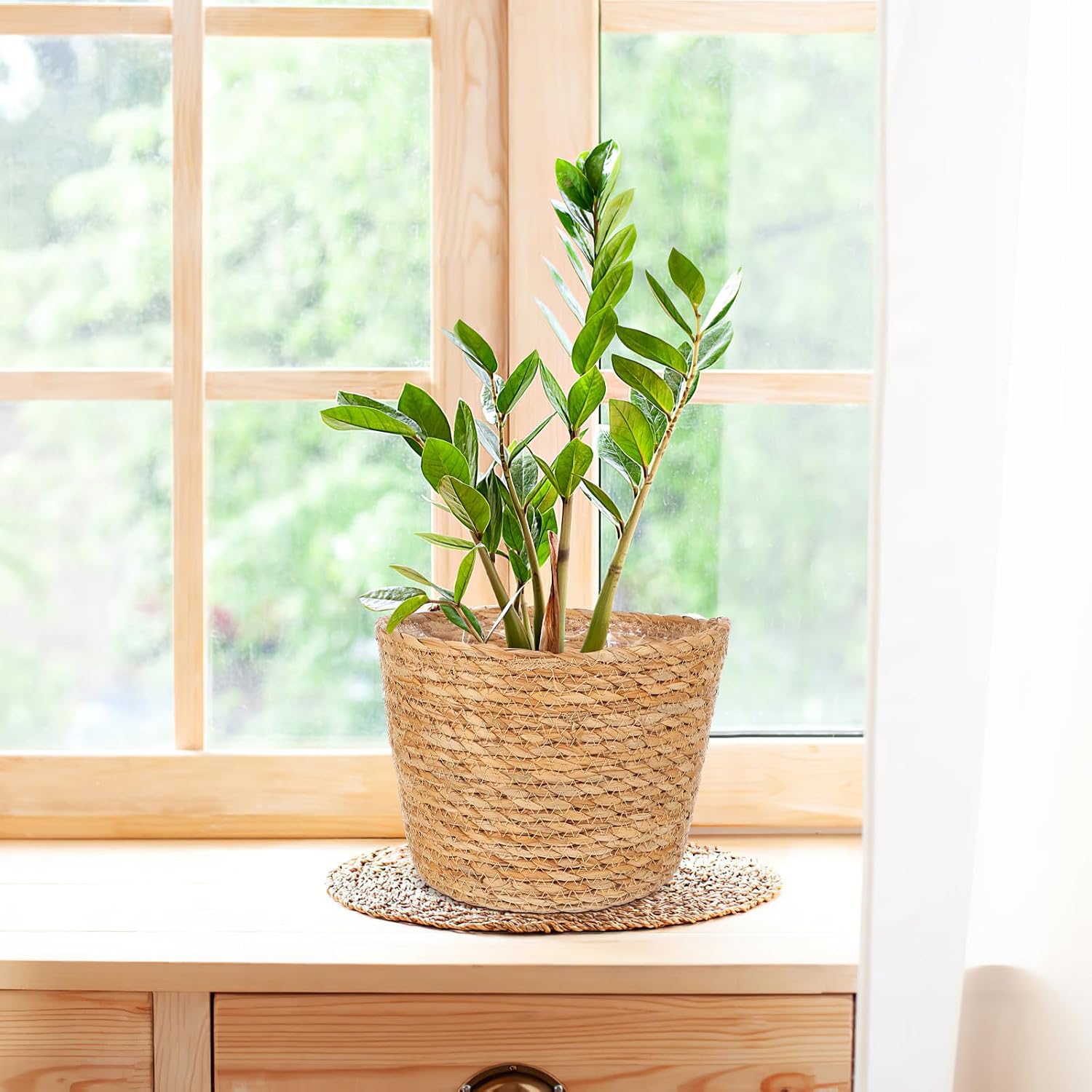 FOMIYES Seagrass Basket Planter With Plastic Liner - Woven Flower Pot Cover and Storage Container for Indoor Plants - 25CM Wicker Plant Pot