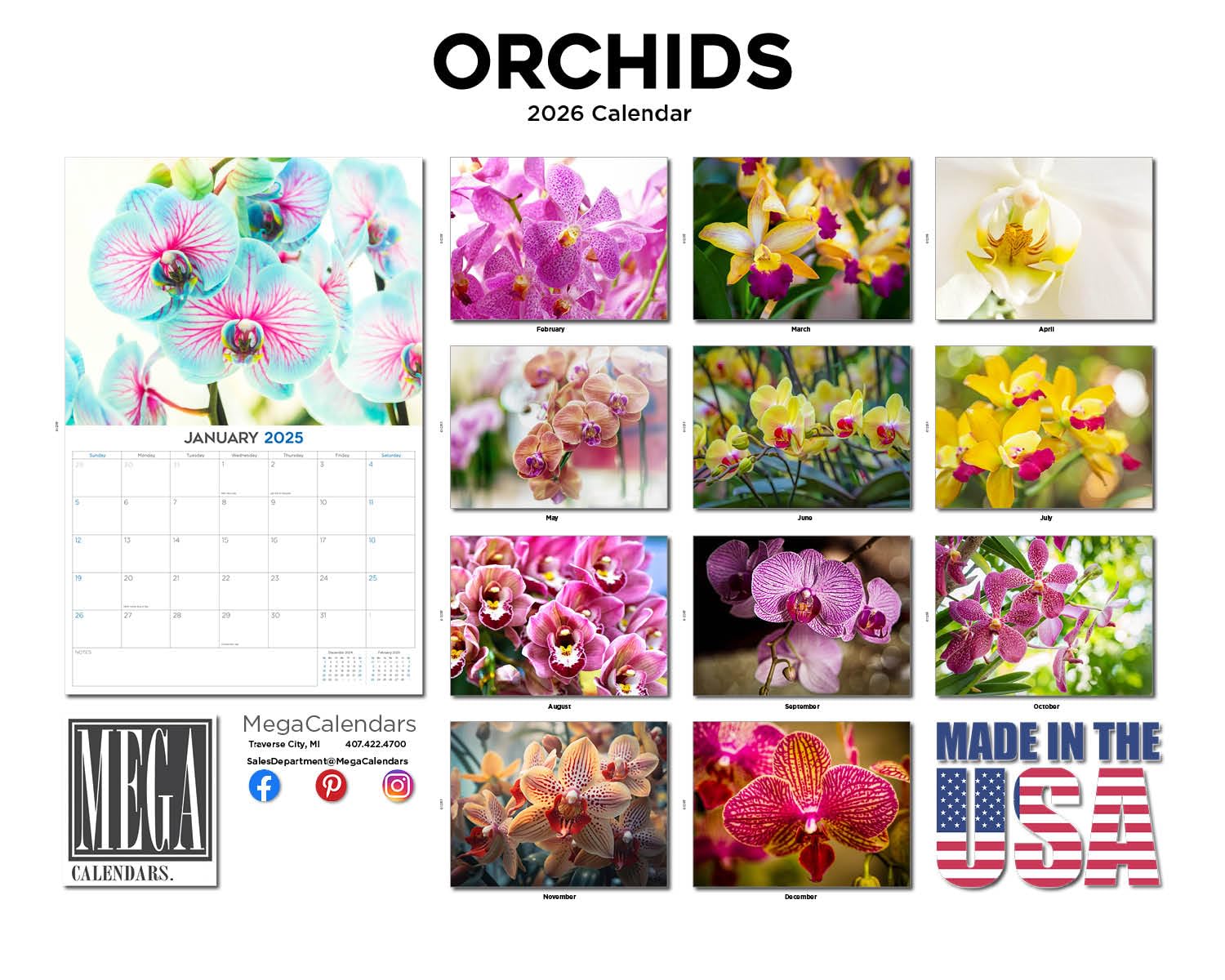 Calendario de orquídeas 2024 2025 – Calendario mensual de pared – 12 x 18 pulgadas abierto – Papel grueso que no se corre – Regalo – Planificador académico para profesores, calendario de organización