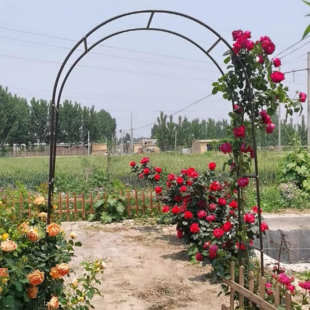 Arche de jardin en métal solide pour stopper l'affaissement des plantes