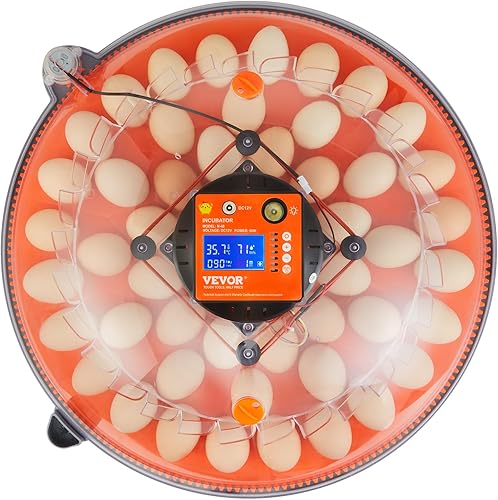 Miniatura 12 de VEVOR 48 incubadoras para incubación, girador automático de huevos de 360 con pantalla de temperatura y humedad, criador de aves de corral con
