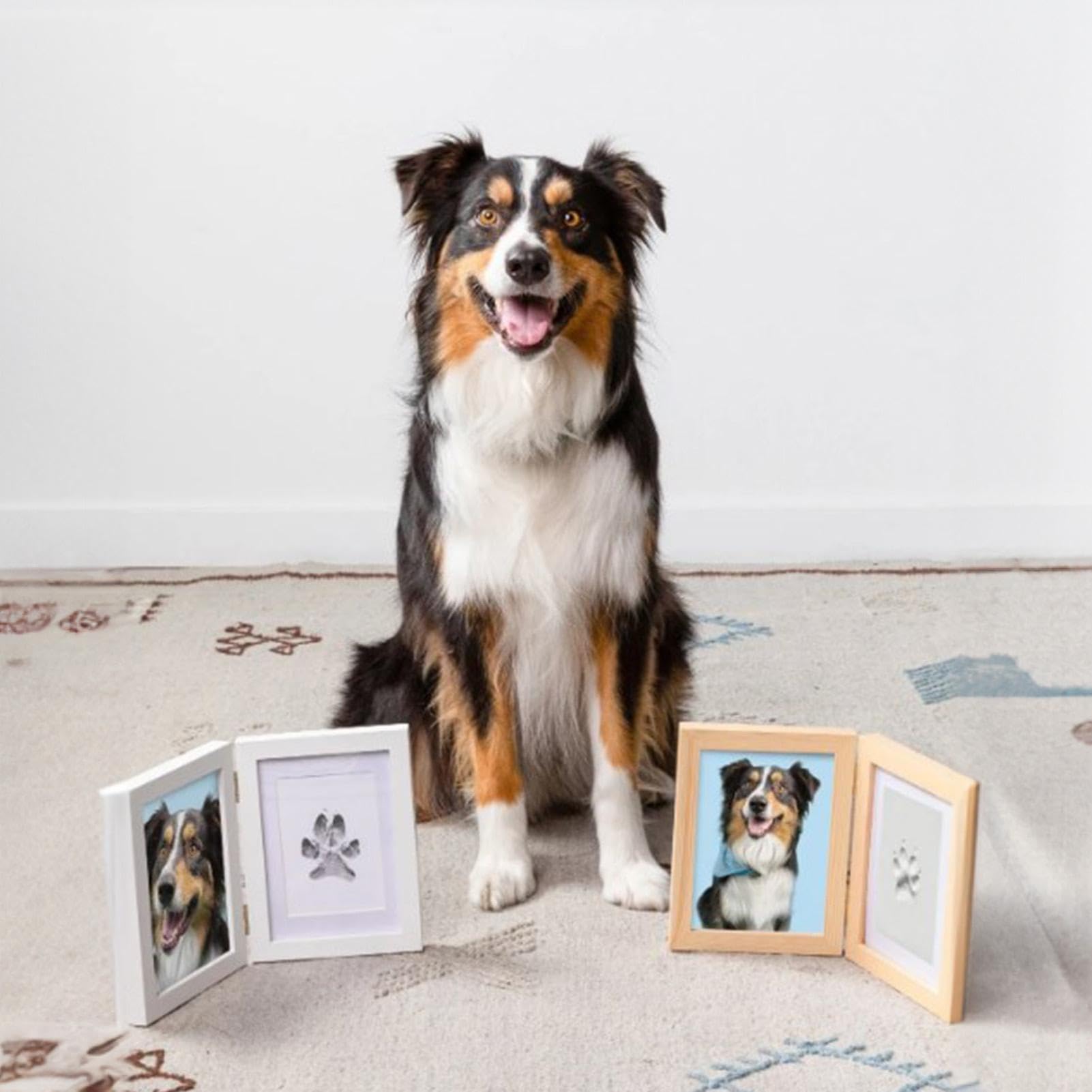 Paw Print Kit Honden Katten - Clean Touch Baby Voet Printing Kit, Keepsake Pawprint Maker | Hondenpoot