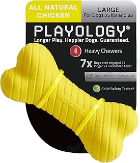 Playology Dual Layer Bone Dog Toy, for Large Dogs (35lbs and Up) - for Heavy Chewers - Engaging All-Natural Chicken Scented Toy - Non-Toxic Materials