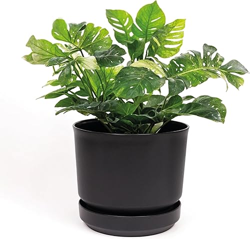 Miniatura 8 de Elly Décor Maceta cilíndrica de plástico de 14 pulgadas con platillo de riego automático y agujero de drenaje, ligera y extremadamente duradera, 14