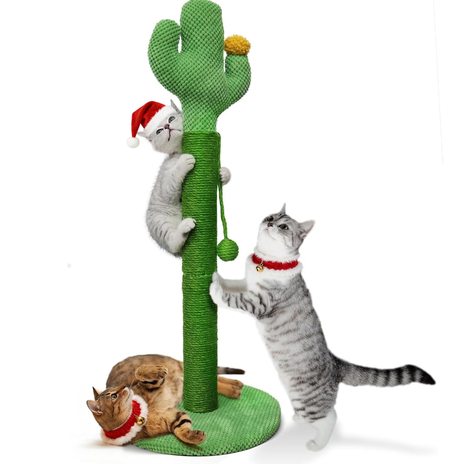 Mora Pets Kratzstamm 83 cm Kratzsule Kaktus Kratzbaum Klein Kratz Kaktus  fr Katzen Cat Scratching Post Kratzkaktus Natrlicher Sisal Kratzstange  Stabil, Grn : Amazon.de: Haustier
