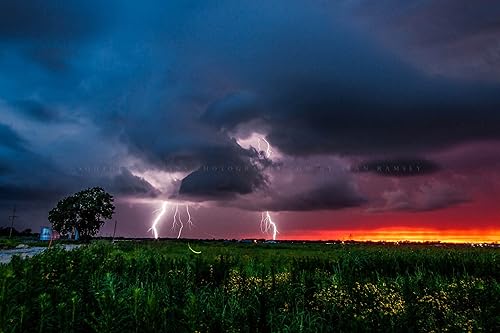 Storm Photography Print (Not Framed) Picture of Lightning Strikes as Firefly Whirls About at Sunset on Stormy Evening in Oklahoma Weather Wall Art