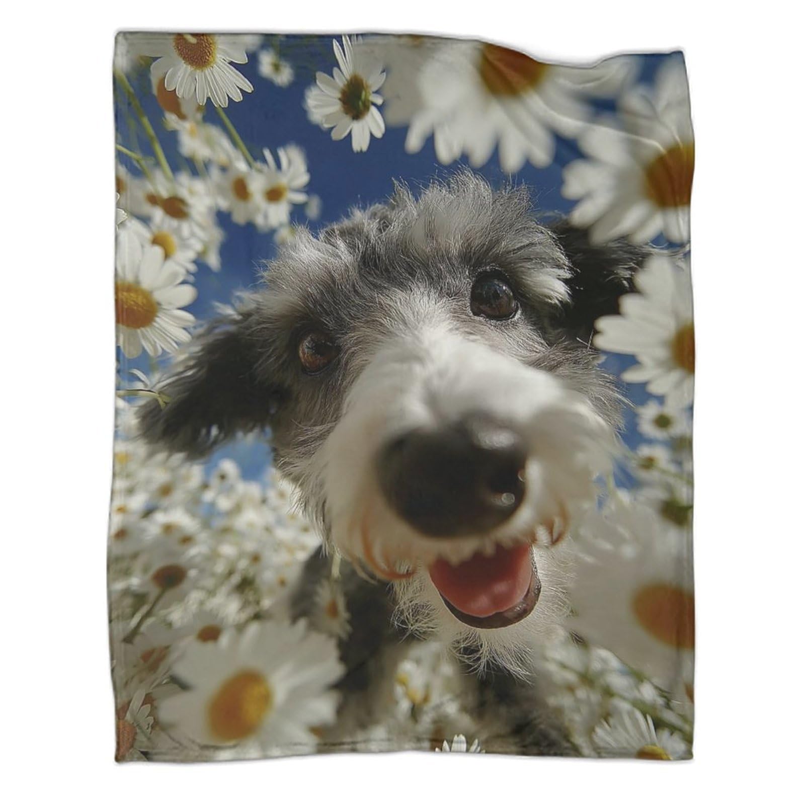 Couverture polaire en flanelle Westie douce lit 150x200cm