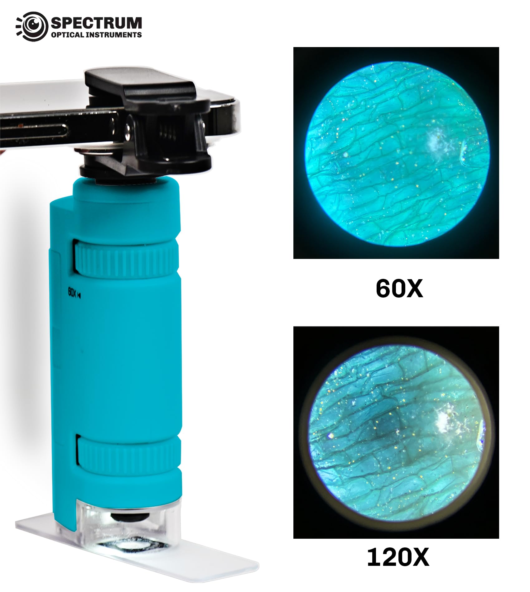 Mini Microscope for Kids, 60X-120X Portable Handheld Microscope with 8 Slide Samples, Blue