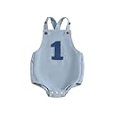 Thorn Tree Baby Girl Boy 1st Birthday Clothes One Year Old Bubble Bodysuit Backless Rib Romper Cake Smash Outfits