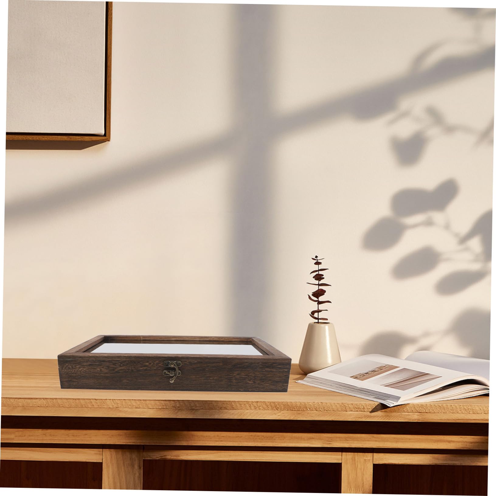 Wooden Specimen Display Case With Clear Lid - Entomology Shadow Box For Butterflies, Insects, Collectibles