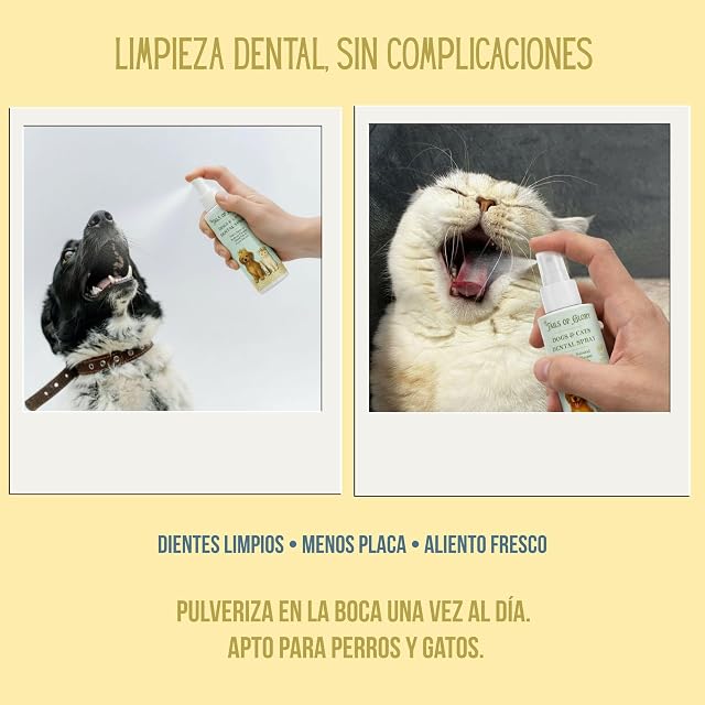 Foto 4 de 8 de Kit de higiene para perros y gatos: ojos, oídos y cuidado dental
