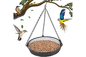Hanging Bird Feeders for Outdoor Garden Yards