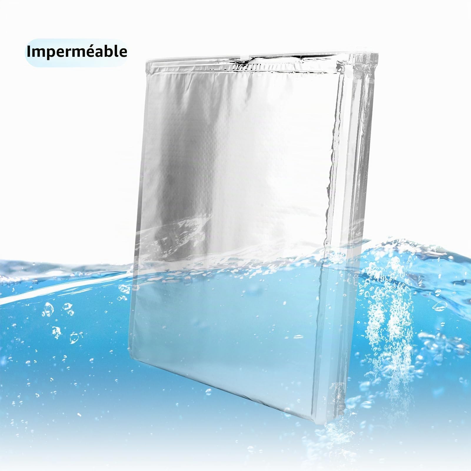 DEWIN Lot de 5 sacs alimentaires isothermes en aluminium pour pique-nique, déjeuner, voyage, camping, extérieur (25 x 30 cm), 25 x 30 cm., Moderne