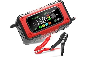 Tyeloftute Car Battery Charger