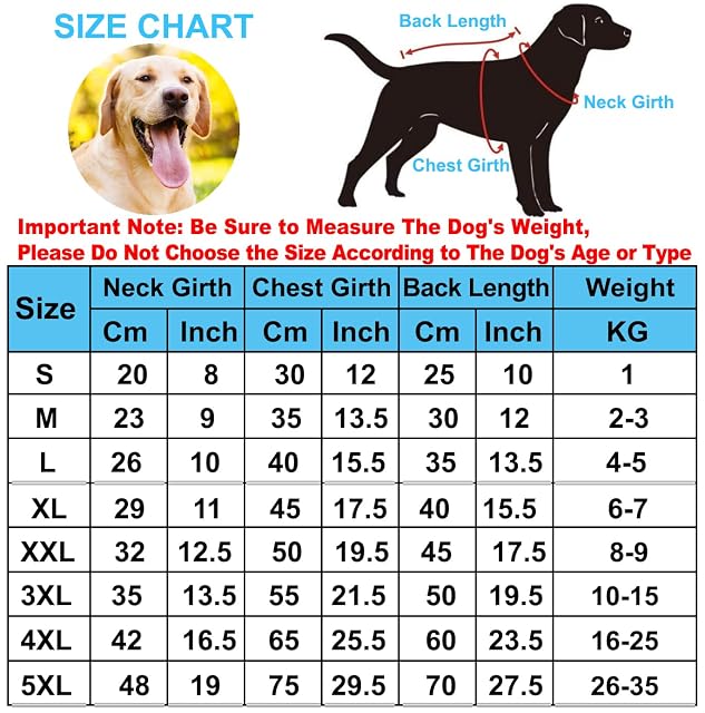 Foto 6 de 6 de HuaLiSiJi Jersey para Perros Sudadera Chihuahua Sudadera para Gato Ropa de Aabrigo para Perros