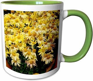 3dRose New York, Cooperstown, Farmers Museum. Decorative pumpkin display. 11oz Two-Tone Green Mug