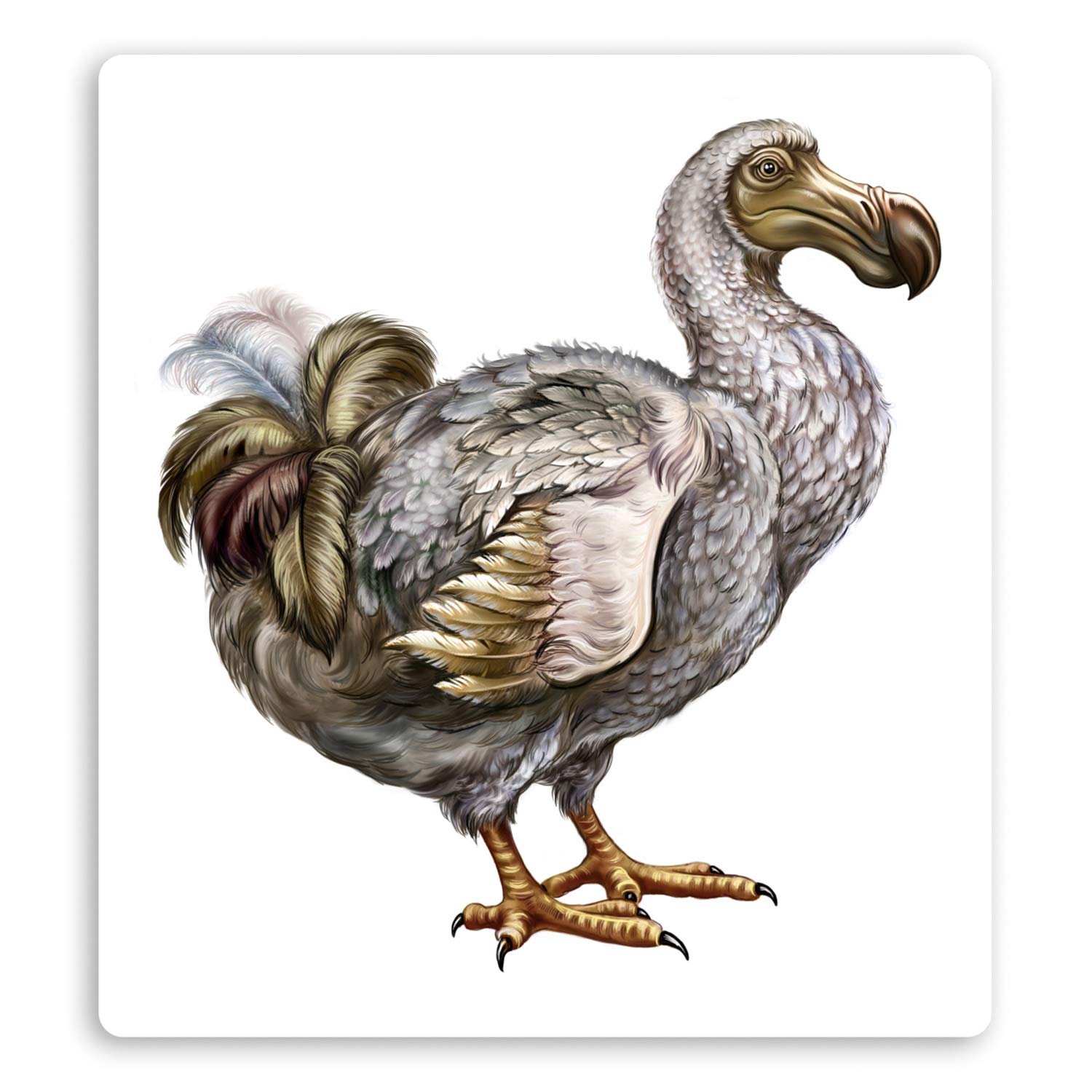 Destination Vinyl Ltd Multi 2 X 10Cm Extinct Dodo Bird Vinyl Stickers - Wild Birds Extinction Sticker #29088
