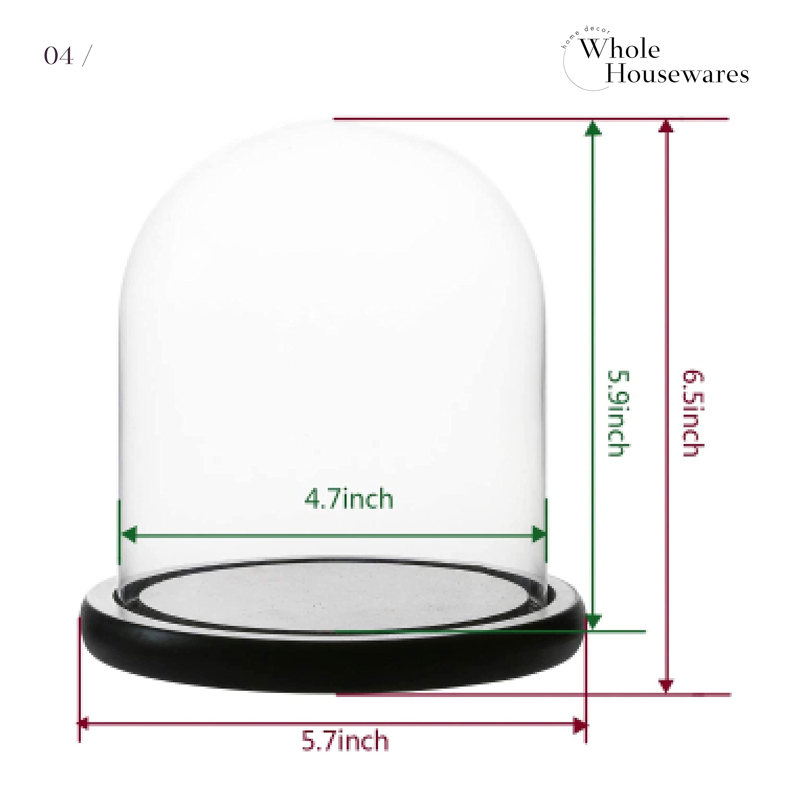 WHOLE HOUSEWARES Decorative Clear Glass Dome Tabletop Centerpiece