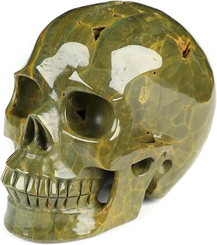 Vista 14 de Skullis Calavera de cristal de jaspe oceánico de 5.0 pulgadas, escultura de arte fino de piedras preciosas talladas a mano, estatua de piedra Jaspe
