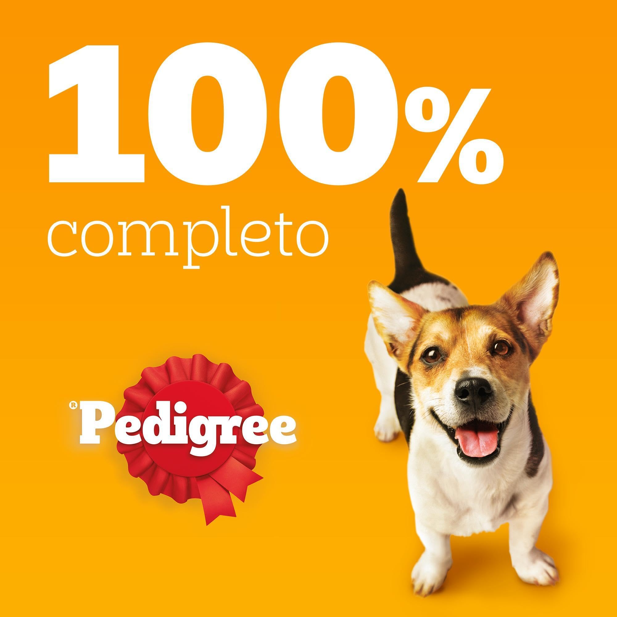 PEDIGREE Complete Comida Perros Pequeños y Mini Adult Buey Verduras (Pack de 6 x 1,4kg)