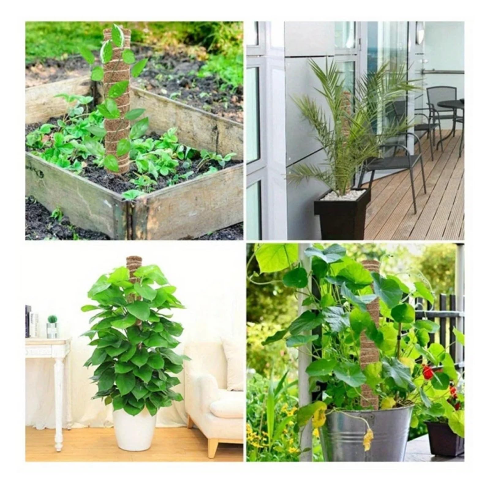 Tuteur Plante Support d'escalade de Lierre de Radis vert2-4, Mousse de Coquille de Noix de Coco emballée, Plante d'intérieur, Support Fixe, Trel empilable(4pcs)