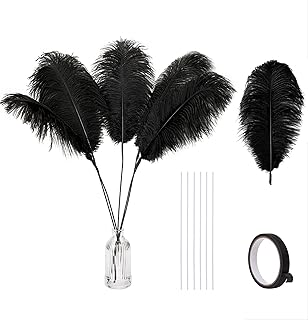 Holmgren Black Ostrich Feathers Bulk - 20pcs Making Kit 22 Inch Natural Ostrich Feathers for Vase, Floral Arrangement, Wedding Party Centerpieces and Halloween Home Decor (Black)
