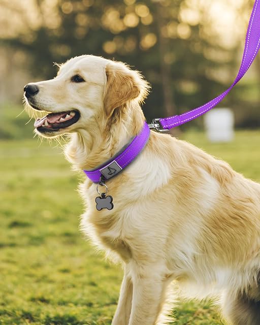 Foto 3 de 7 de Joytale Collar Perro Grande Resistente, Reflectante Ajustable de Acolchado Neopreno Nylon, Morado, L