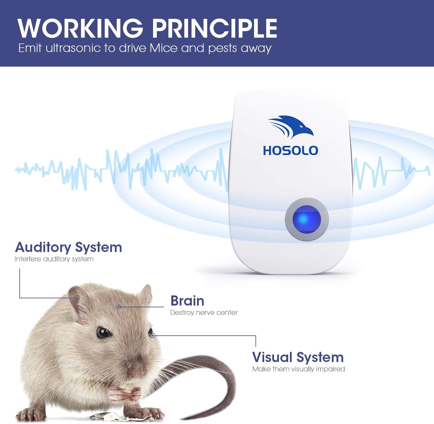 HOSOLO Ultrasonic Pest Repeller, Electronic Indoor Pest Repellent Plug in Pest Control for Kitchen, Warehouse, Bedroom(6 Packs) : Patio, Lawn & Garden