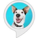  Ladridos De Perro