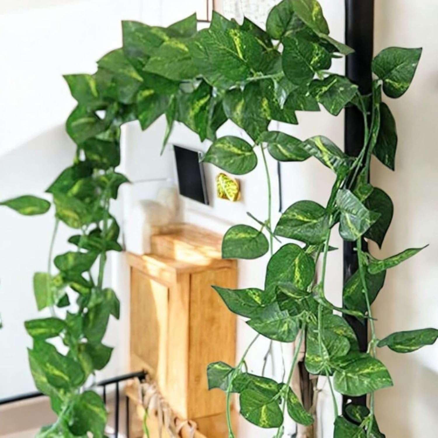 Artificial Money Plant Vine | Green Hanging Creeper Leaves for Home Decor Wall Balcony Garden Decoration (Pack of 3 Vines)-image-14