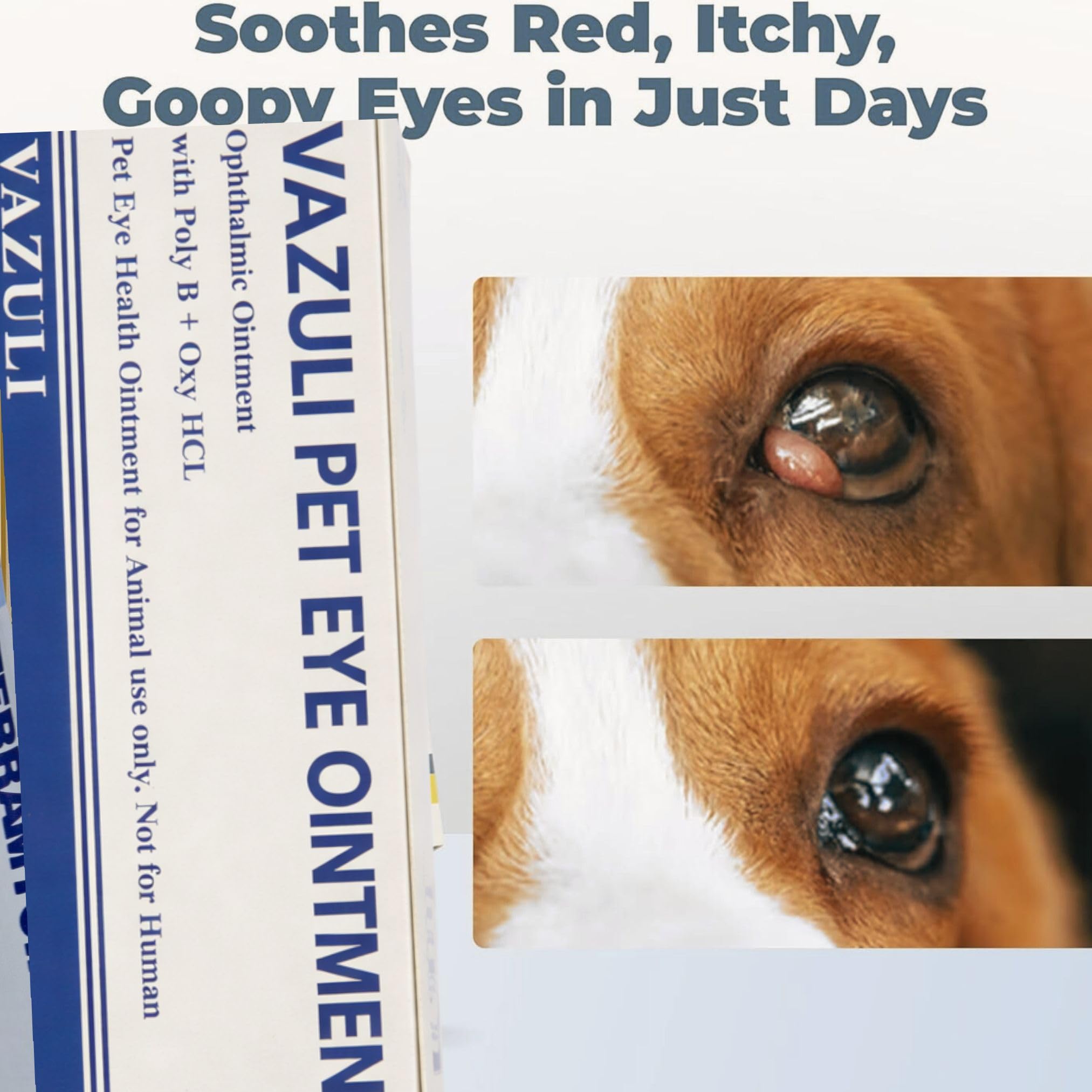 VAZULI Pet Eye Cream for Dogs, Cats, Cattle, Sheep, Horses, Birds and Puppies, Kittens - 1 Pack — view 4