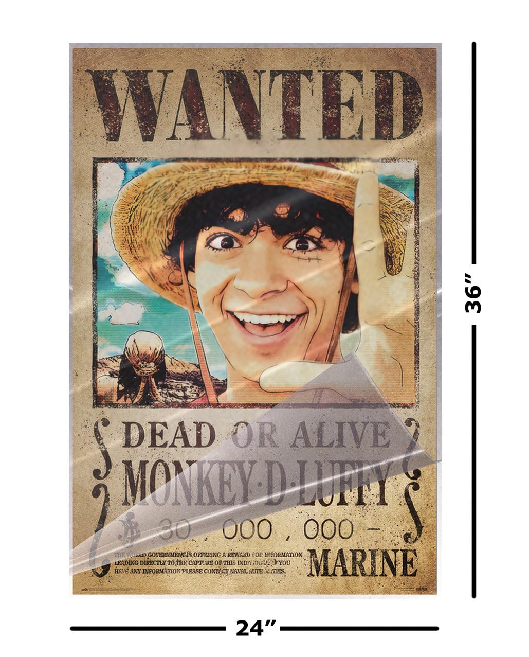 Amazon.com: One Piece - Netflix TV Show Poster (Wanted: Monkey D. Luffy -  Dead Or Alive) (Size: 24