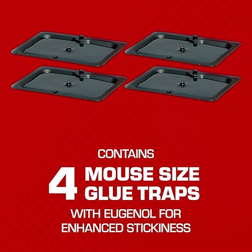 Miniatura 23 de Tomcat Trampas de pegamento del tamaño de un ratón, con eugenol, para mejorar la adherencia, para ratones, cucarachas y arañas, 6 trampas