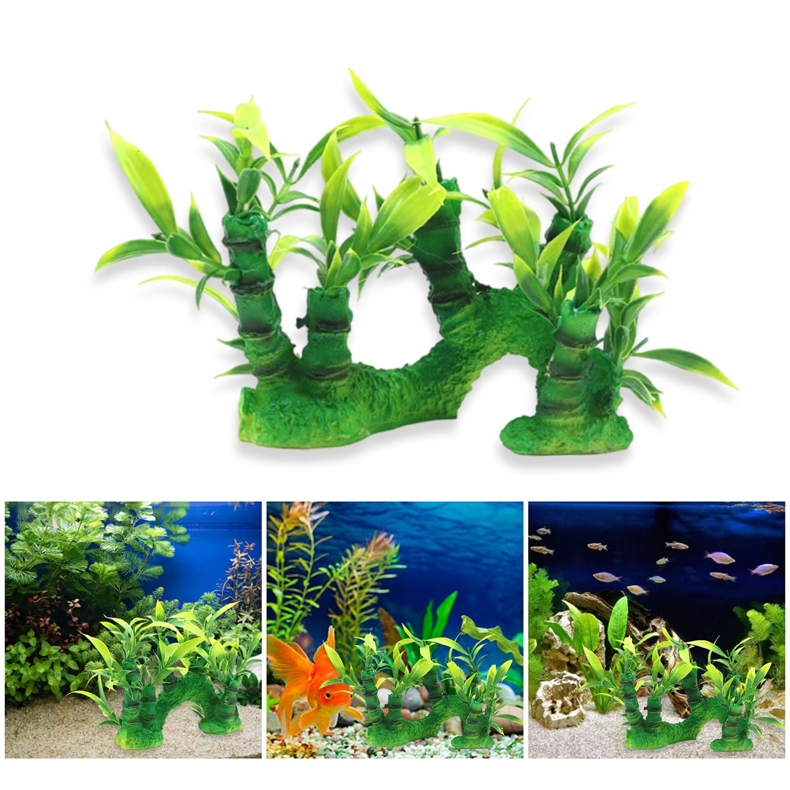 cactus merl Mermaid Tail Cactus Houseplant - Purple (8-12
