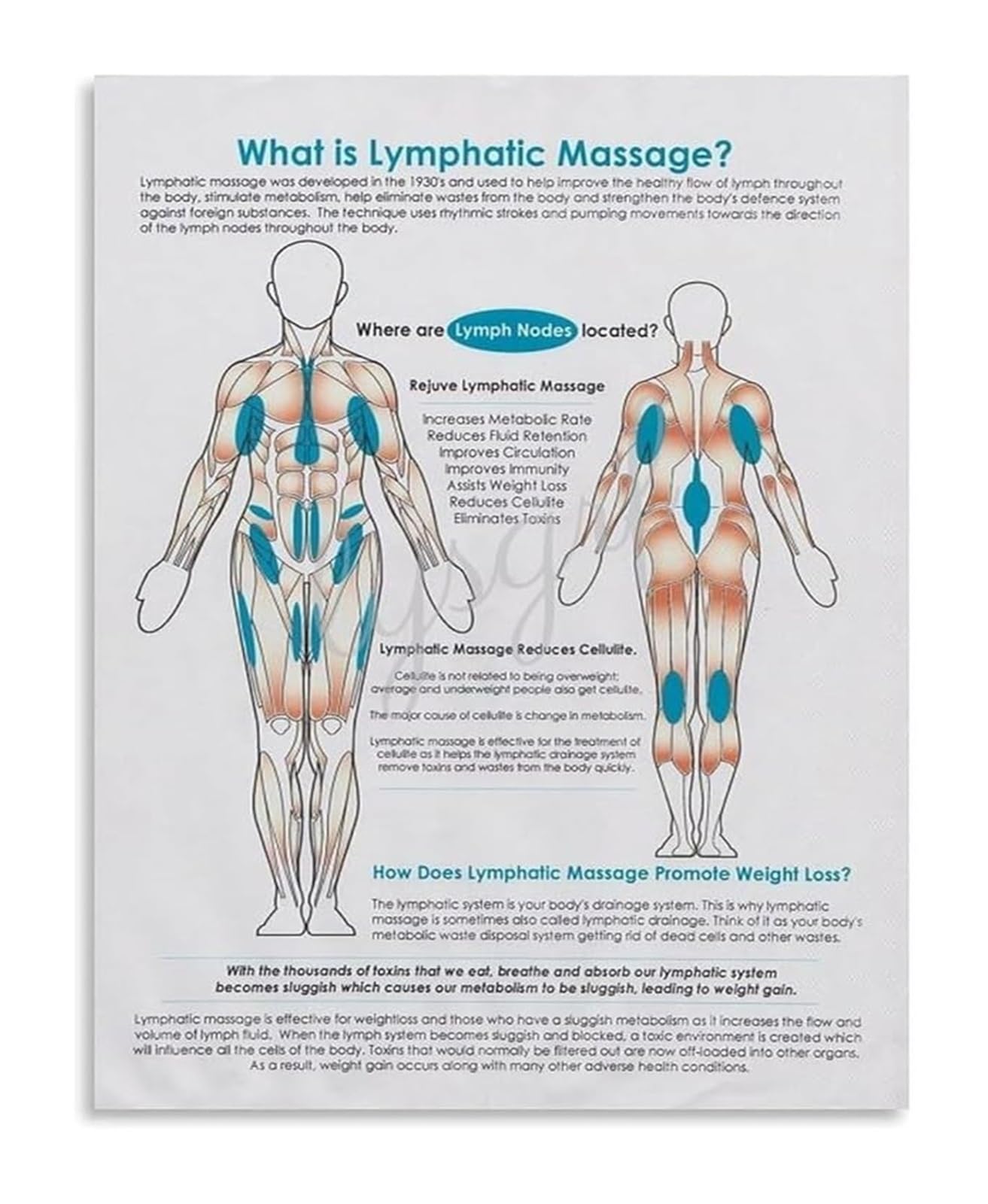 PKNVKZIDK Beauty and Anatomy Poster Lymphatic System Chart Canvas Print Wall-Art for Facial Care Enthusiasts Living Room Home Office Decor Framed,12x18inch(30x45cm)