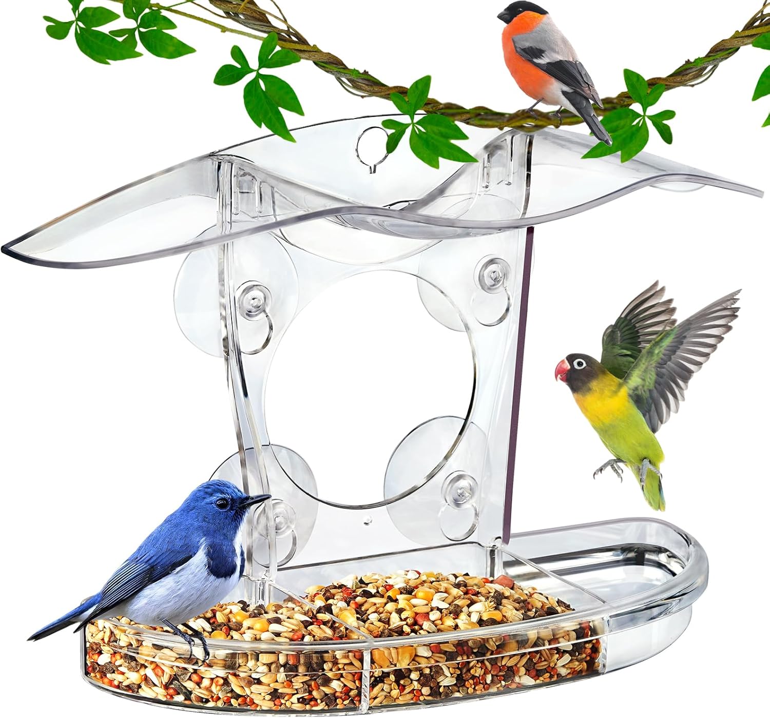 Window Bird Feeder with 4 Strong Suction Cups, Clear Bird Feeders for Window Viewing, Clear Transparent Birdfeeder, Drain Holes, Removable Tray and Large Seed Capacity Easy to Clean and Refill
