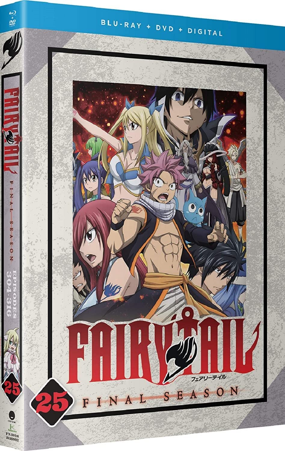 Fairy Tail Final Season - Part 25 [Blu-ray]
