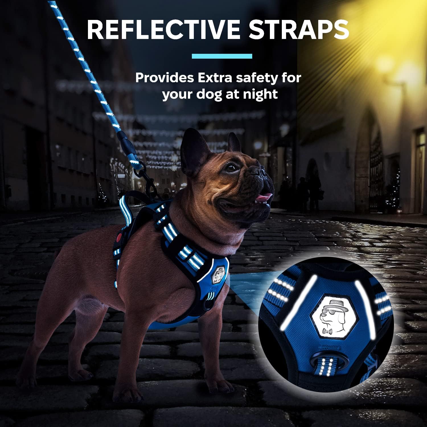 MR. PETMAN No Pull Dog Harness with Leash, Seat Belt, Grooming Glove - No Choke Dog Harness Set for Small Medium Large Dogs- Reflective Adjustable Dog Vest Harnesses with Handle for Walking Training : Pet Supplies