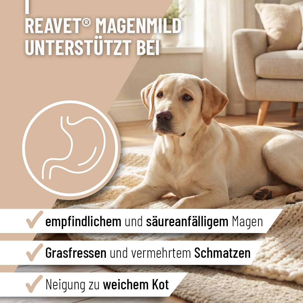 ReaVET MagenMild Poudre pour Chiens 500g - rééducation intestinale Chien Accumulation Flore intestinale, en Cas de diarrhée Chien, Gastro-intestinal Chien, Protection estomac Chien