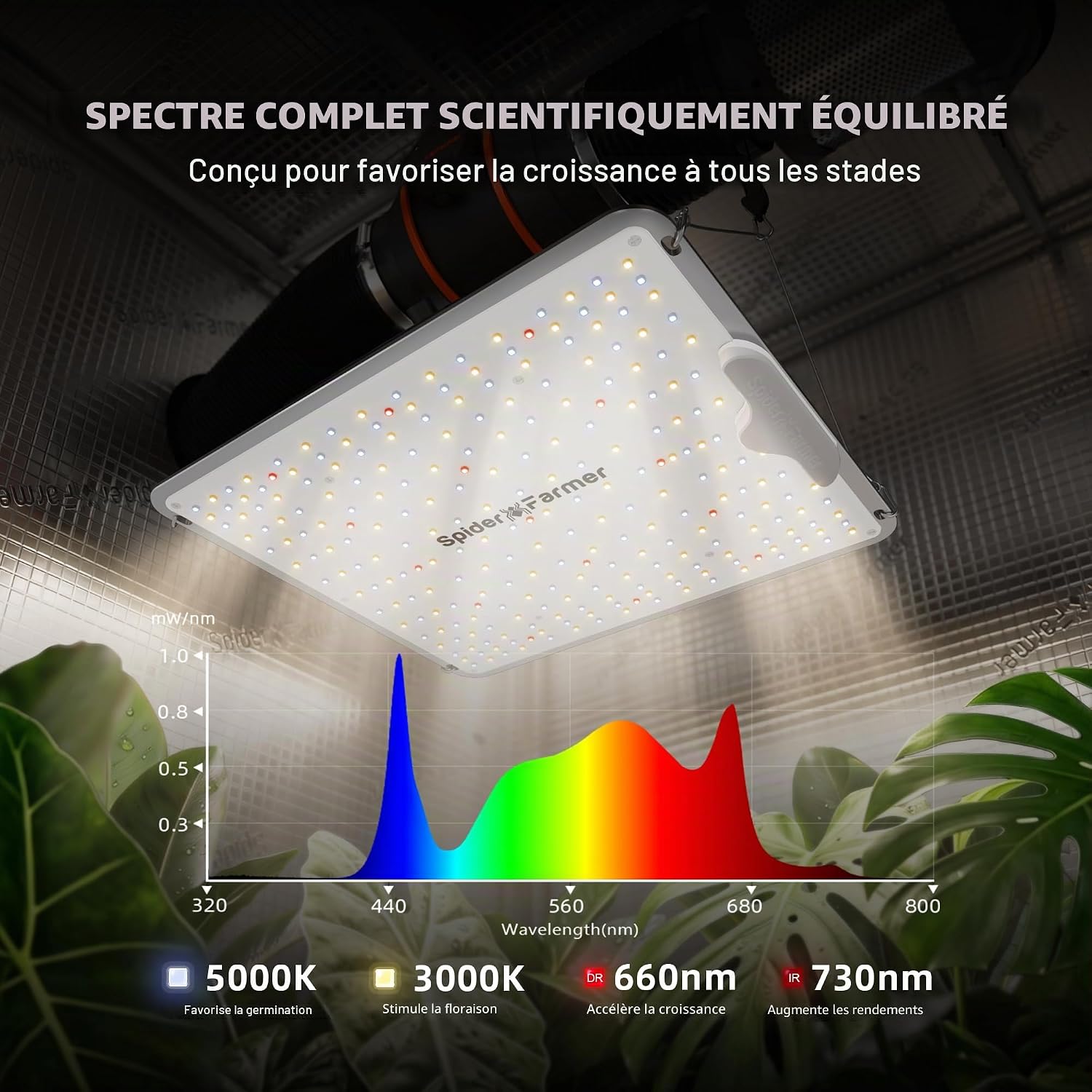 Spider Farmer SF1000 LED Grow Light installed in a grow tent above plants.