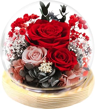 FIACO Gifts for Women Mom Birthday Preserved Flowers in Glass Dome Forever Fresh Flowers for Delivery Mothers Day Eternal Roses Gifts for Grandma Wife Daughter Friends Red