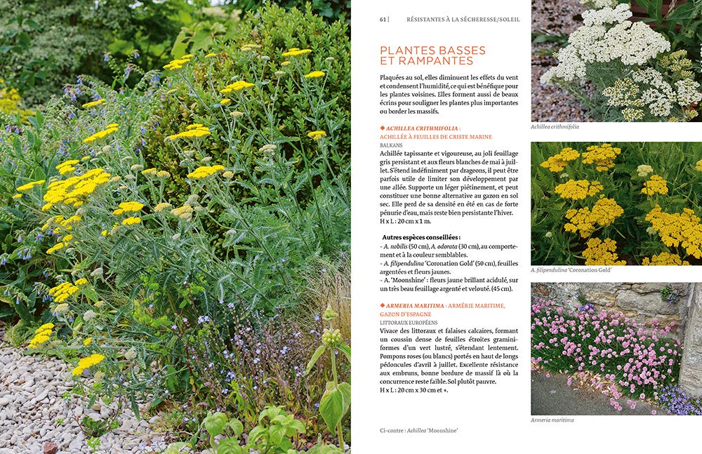 Toutes les plantes supportant la sécheresse