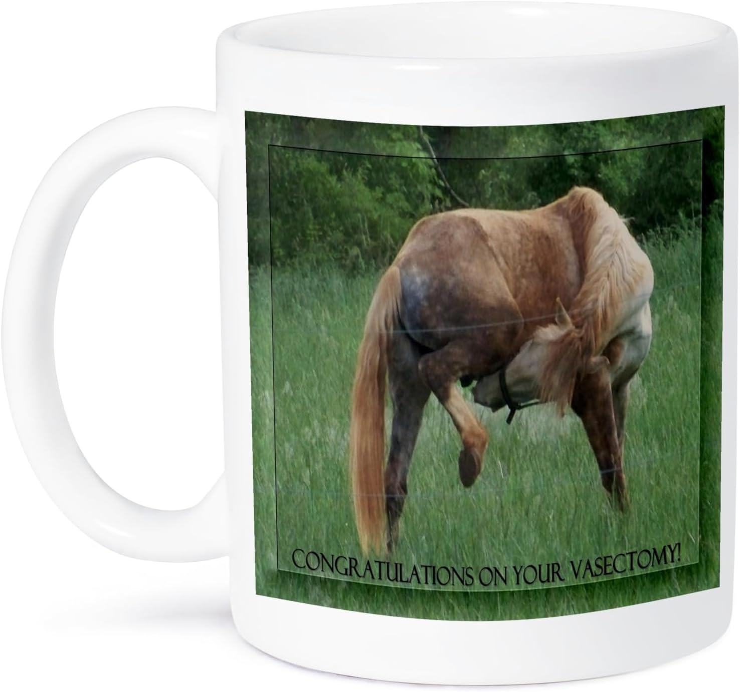 3dRose Funny Horse Green Background Congratulations on Vasectomy Ceramic Mug, 11-Ounce