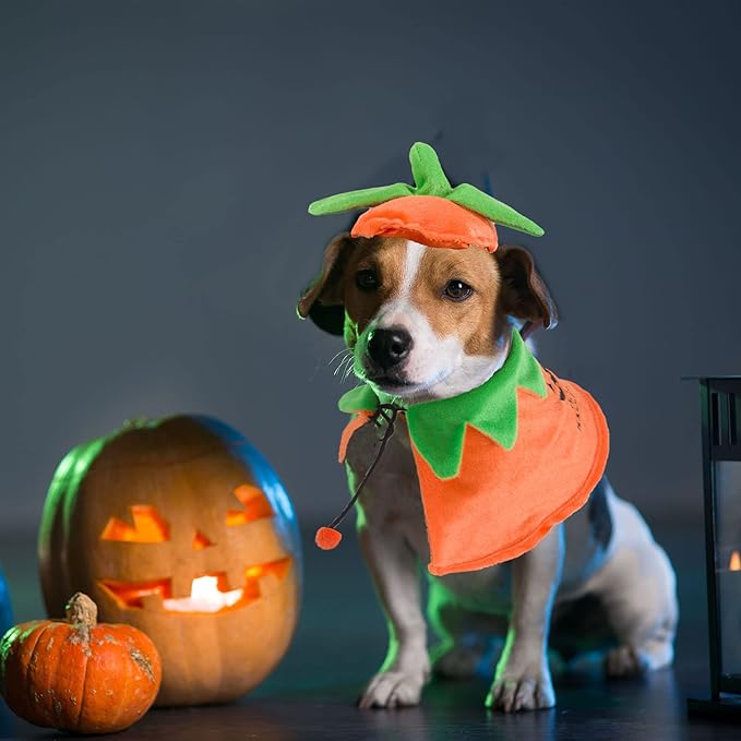 Disfraz de Halloween para Perro Calabaza con Capa y Sombrero miniatura 2