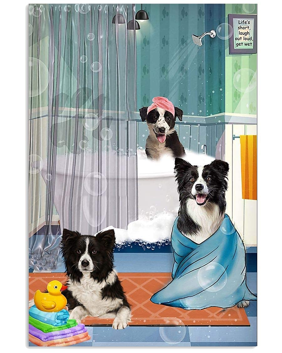 Bigyak Red Border Collie Take A Shower 20X30 Cm Vintage Look Metal Decoration Plaque Sign For Home Kitchen Bathroom Farm Garden Garage Inspirational Quotes Wall Decor