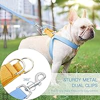 Vista 30 de No Pull Dog Harness and Leash Set, Step in Dog Halter Harness with Poop Bag Holder, Adjustable Lightweight Cotton Straps Suitable for Small Medium