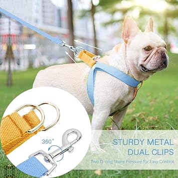 Çekme Köpek Koşum Takımı ve Tasma Seti, Köpek Yaka, Kaka Çanta Tutuculu Köpek Halter Koşumuna Adım, Ayarlanabilir Hafif Pamuk Kayışlar Küçük Orta Büyük Köpekler için Uygun Açık Hava Yürüyüşü Koşu